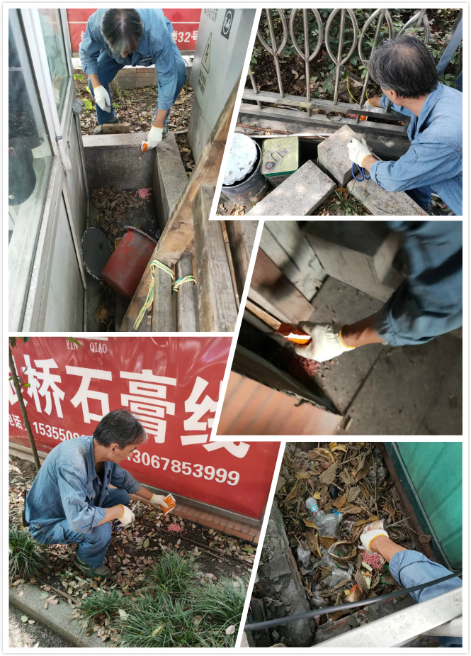 j9国际站备用市场发展冬季灭鼠