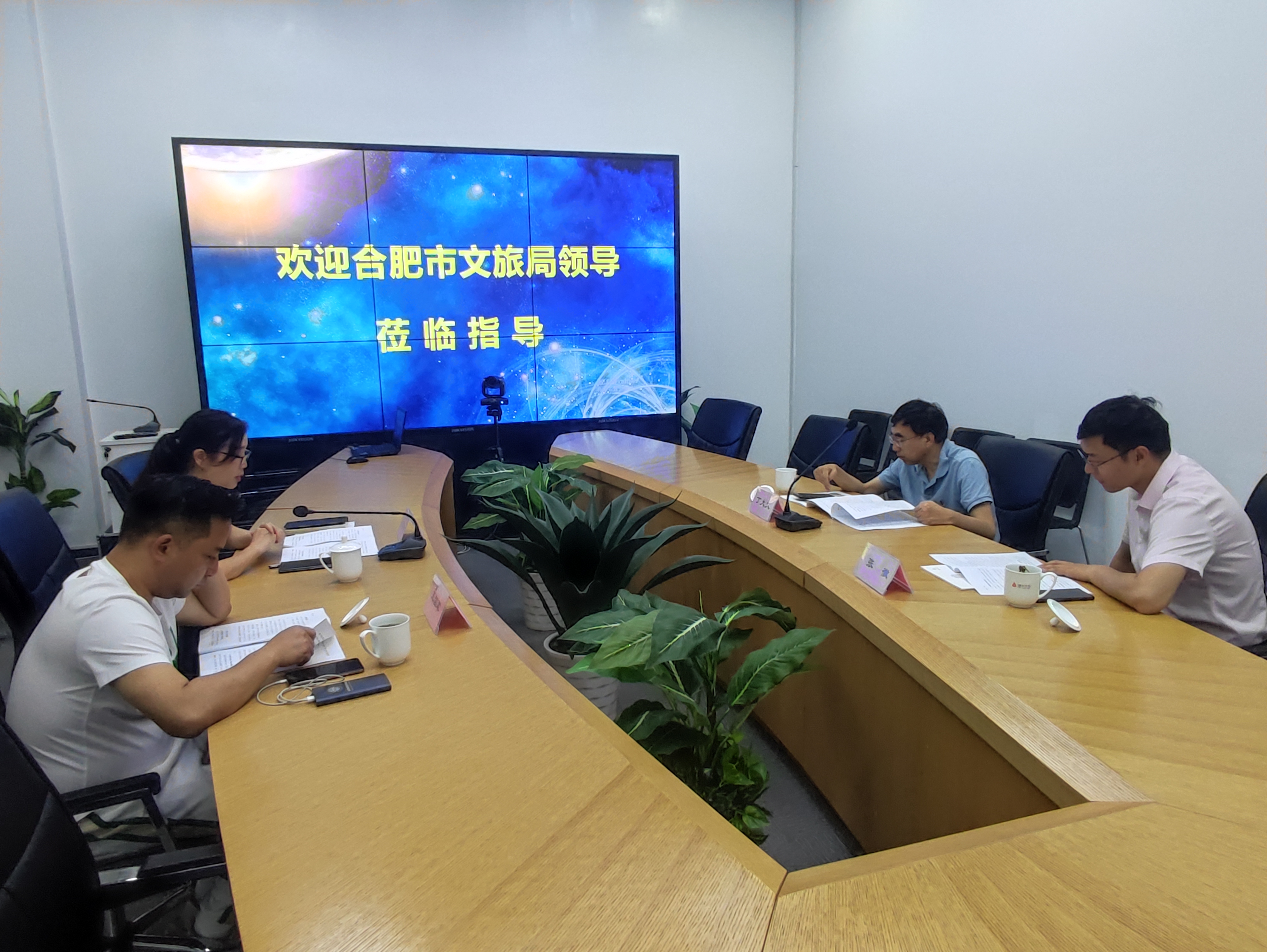 合肥市文化游览局丁大文处长一行光临j9国际站备用文创集团调研