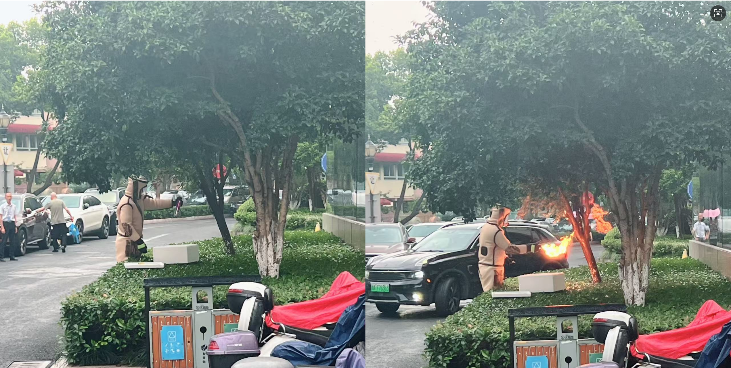 安全守护零距离，水晶城急剧措置表围蜂群隐患