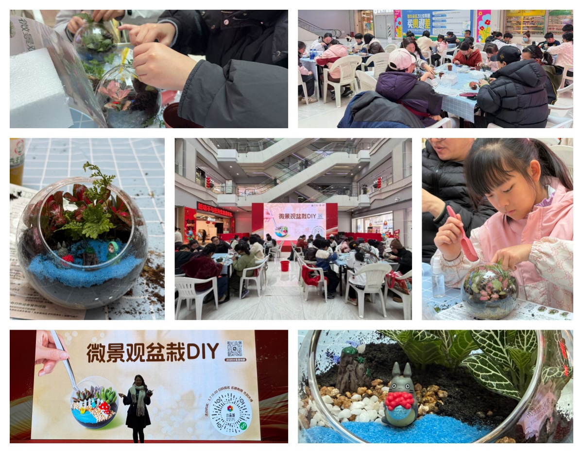 巧手造微景，指尖绽春意——水晶城微景观盆栽 DIY 活动圆满进行