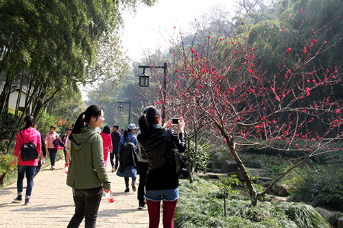 20150329登山活动 (6).jpg 20150329登山活动 (6).jpg