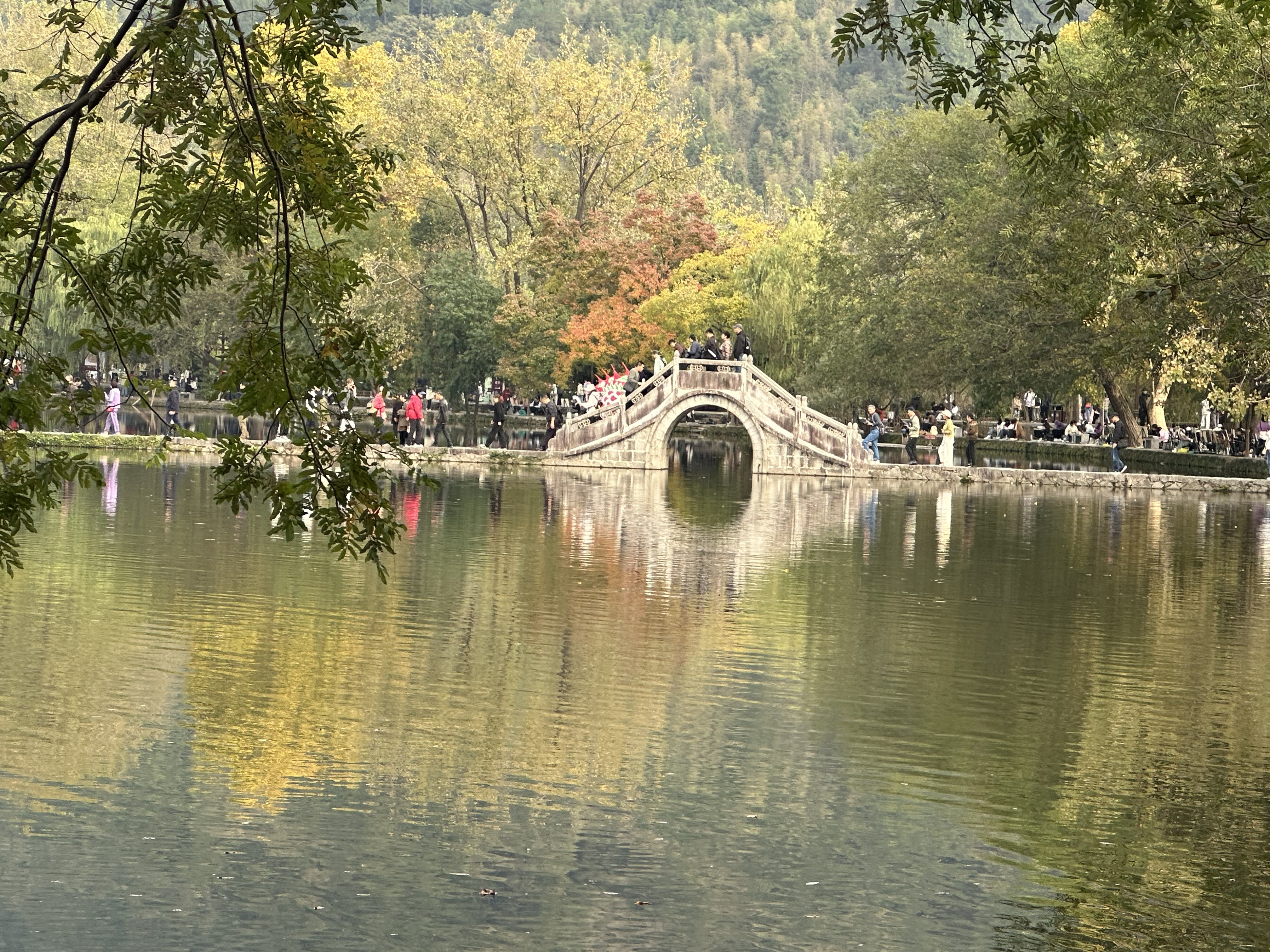 图片3.png 图片3.png